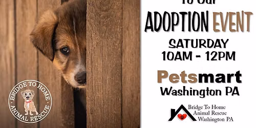 Adoption Event