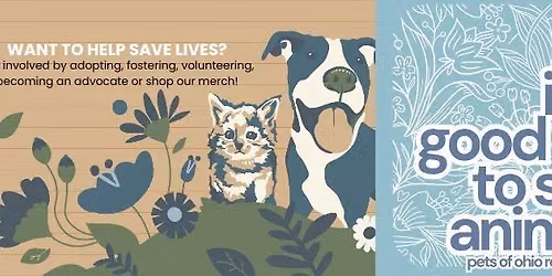 Adoption Event 