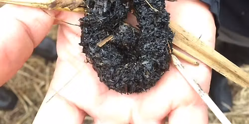 \u2018Have I Got Poos for You!\u2019 - Family Wildlife Talk and Quiz