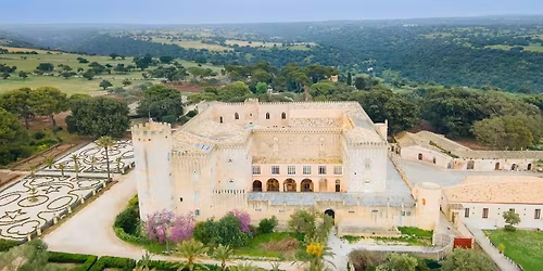 Sicilia Barocca & Luoghi di Montalbano con il Castello di Donnafugata e Punta Secca