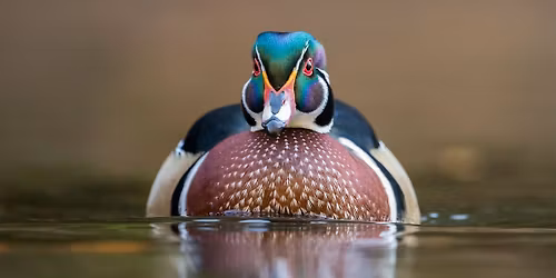 Field Trip: Blue Springs Wetlands