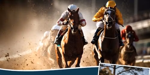 RACE NIGHT! \u2728\ud83d\udc0e