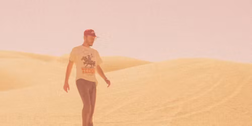 Field Guide in Canmore