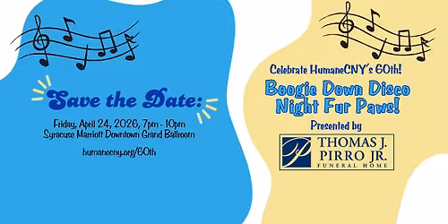 Boogie Down Disco Night Fur Paws!