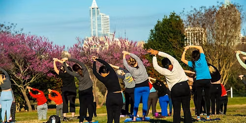 Yoga in the Park