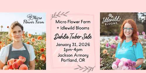 In-Person Dahlia Tuber Sale - Micro Flower Farm + Idlewild Blooms