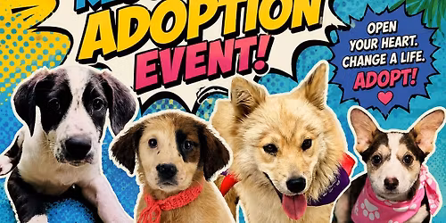Texas Rescue Riders Adoption Event!
