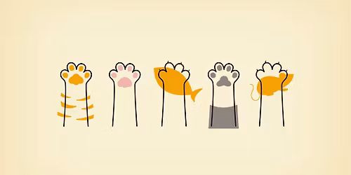 The Psychology of Cats with Dr Jon Bowen