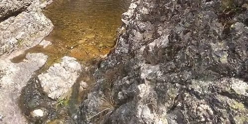 \u0412\u0435\u043b\u0438\u043a\u0434\u0435\u043d\u0441\u043a\u0430 \u0420\u043e\u0434\u043e\u043f\u0441\u043a\u0430 \u043f\u0440\u0438\u043a\u0430\u0437\u043a\u0430 - \u041c\u0443\u043c\u0434\u0436\u0438\u0434\u0430\u043c, \u0427\u0438\u043b\u044f\u043a\u0430, \u0411\u0435\u0437\u0432\u043e\u0434\u043d\u043e, \u0417\u0430\u0433\u0440\u0430\u0436\u0434\u0435\u043d \u0438 \u0420\u043e\u0434\u043e\u043f\u0441\u043a\u043e\u0442\u043e \u043a\u043e\u043d\u0447\u0435