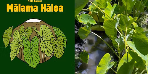 18th Annual M\u0101lama H\u0101loa Kalo Festival & Symposium