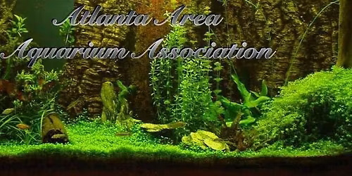 July Monthly Meeting - ADVENTURE DAY