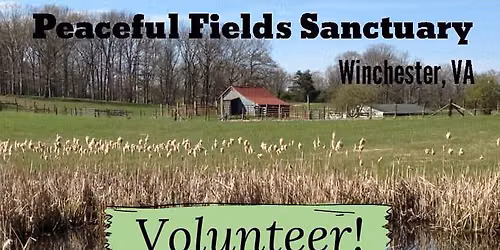 Sept Volunteer Day at Peaceful Fields Sanctuary