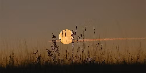 Lunar Soundscape: A Multi-Instrument Sound Bath