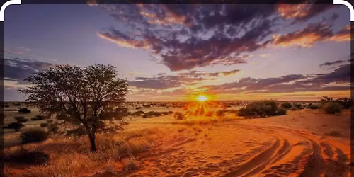 Saffa Catch-up \/ Meet-up