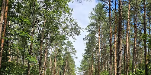 Wyspa Sobieszewska gravelowo-wieczorowo