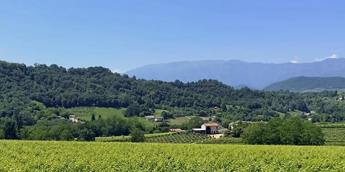 A Taste of Veneto: Prosecco & Cicchetti