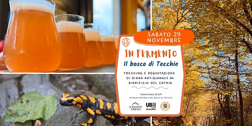 IN FERMENTO - Il bosco di Tecchie