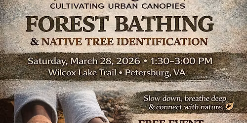 Branching Out: Cultivating Urban Canopies