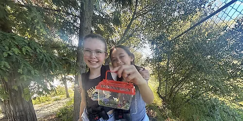 Pollinators in the Park