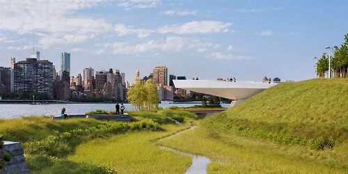 Wetland Grasses Walk