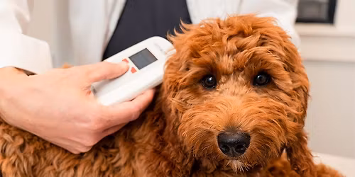 SEKHS $10 Microchip Clinic for Dogs & Cats