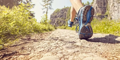 Trail Run with Sports Basement x Saucony Shoe Demo