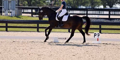Dressage and Working Eq Schooling Show