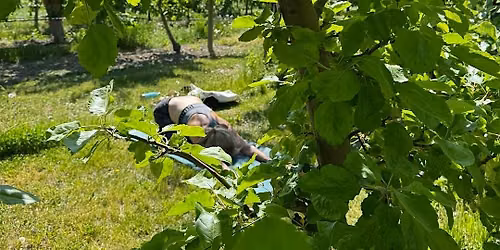 The Orchard Ritual: Yoga, Ocean Drums, Wine & Karat Chocolate Experience