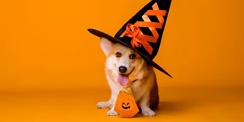 Howl-o-ween Dog Park Even