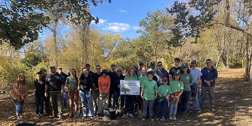 Miantonomi Park Reforestation