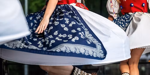 39. Vala\u0161sk\u00fd b\u00e1l ve Vizovic\u00edch