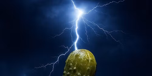 Pickle! celebrates Kolschfest at Omni Brewing in Victoria