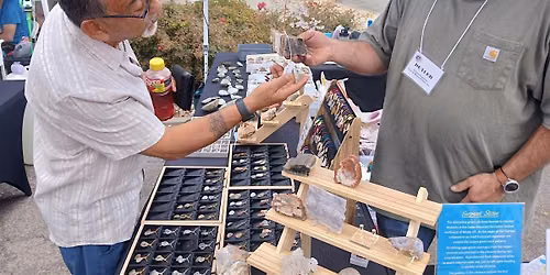 Rock, Gem & Mineral Show, Day 2