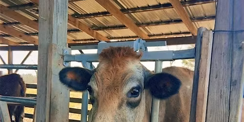 Welcome Summer to the Farm
