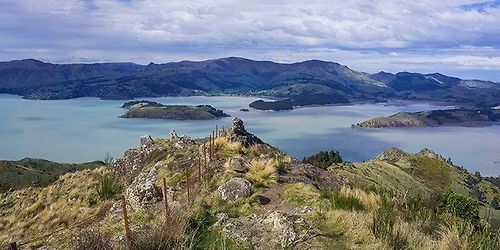 Lambda Latte Walk - 23 Nov - Twin Peaks (Port Hills, from Sign of the Kiwi cafe)
