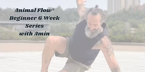 Animal Flow\u00ae Beginner 6 Week Series with Amin