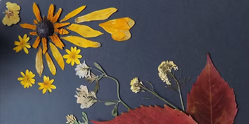 \ud83d\udc90\u2728\ud83d\uddbc\ufe0f KWIATOWE WIZJE - komponujemy obrazki z ro\u015blinnego suszu