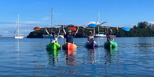 Mangrove Kayak Adventure! 