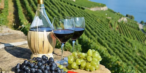 Tour of Italy Wine pairing dinner