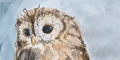 Drawing Scotland\u2019s Birds II