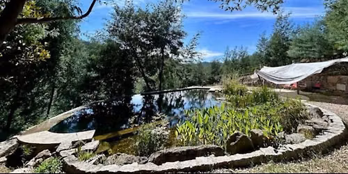 Solstice Wild Women Retreat Cara Creek Portugal 2027 — Cara Creek Eco Lodge