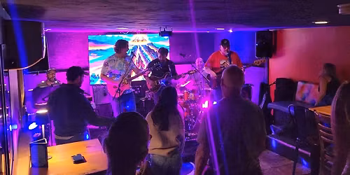 Alligator Wine - Live Music 