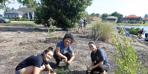Myrtle Lake Restoration