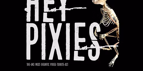 Hey Pixies (Pixies Tribute)