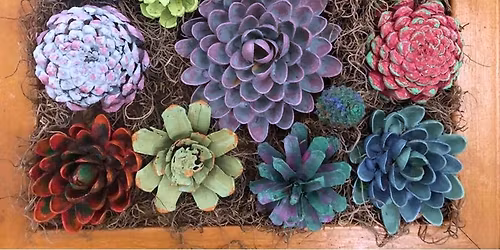 Nature Crafting with Ms. Jen