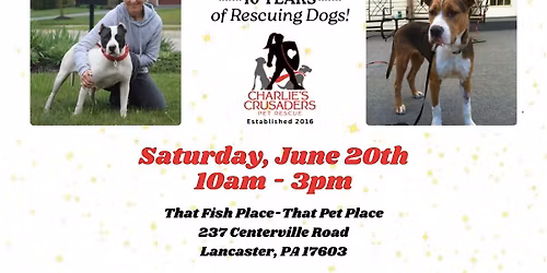 Charlie's Crusaders Pet Rescue - 10th Anniversary Celebration!