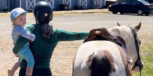 Horse Show at Quiet Rein: SCHOOLING\/CHJA\/CHSA & Rein or Shine Cup FINALS!