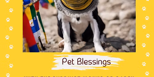 Pet Blessings w the monks of Gaden Shartse Monastery