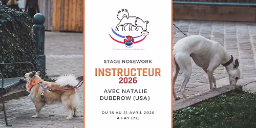 Stage instructeur de Nosework - \u00c9dition 2026 \u2b50\ufe0f