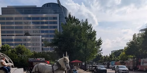 Ban Horse Carriages Dallas 